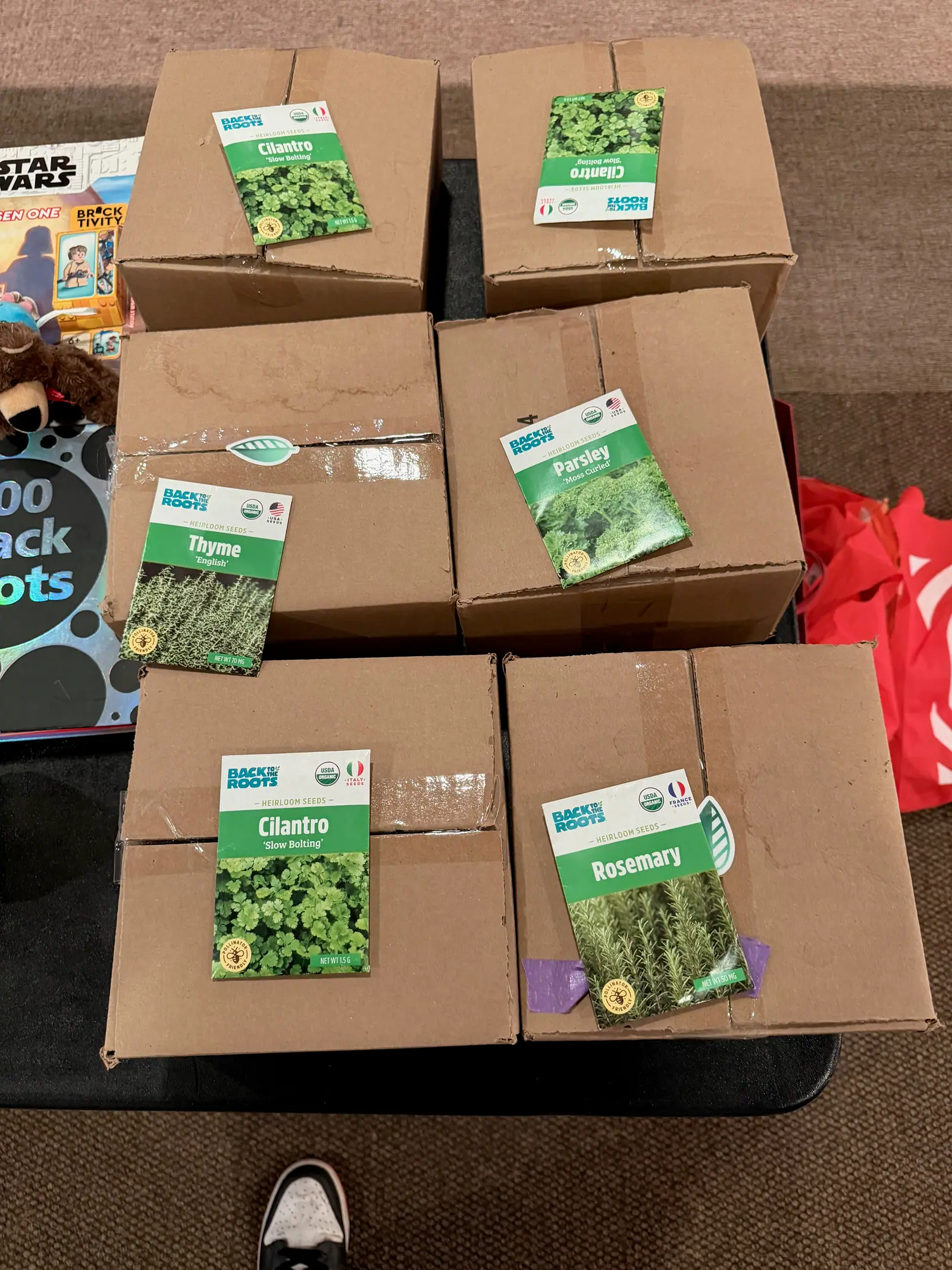 Six MintBoxes topped with heirloom seed packets: cilantro, parsley, thyme and rosemary.